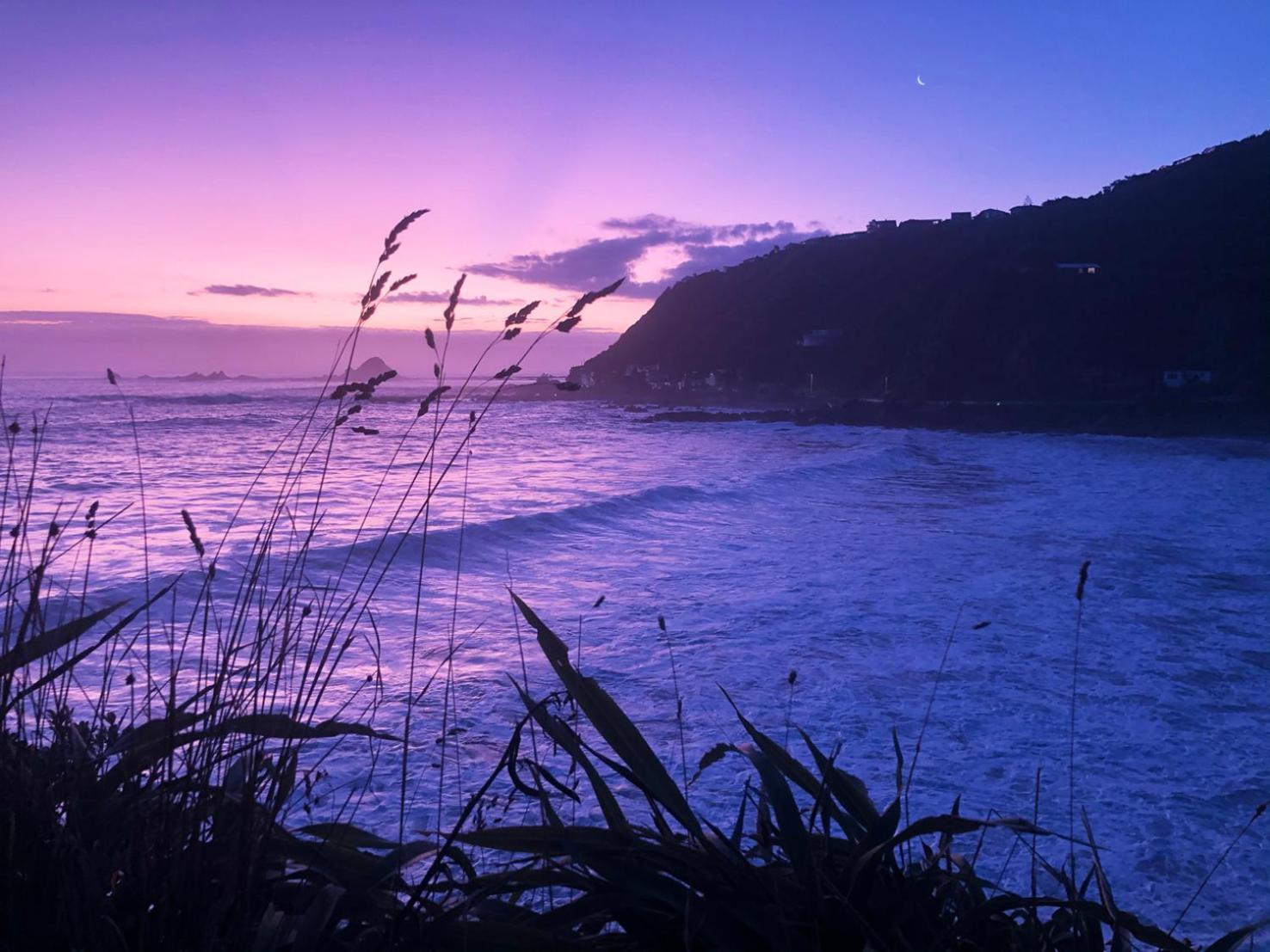 Stunning Views Ocean-Front Villa Wellington Eksteriør bilde